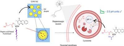 Nucleolipid Acid-Based Nanocarriers Restore Neuronal Lysosomal Acidification Defects